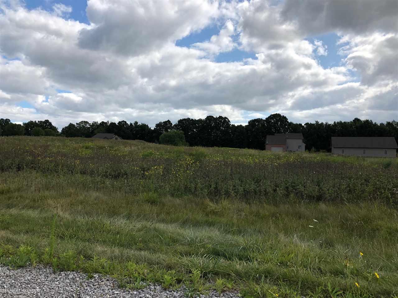 0 Fox Ridge Almont, MI 48003 - Photo 2 of 3