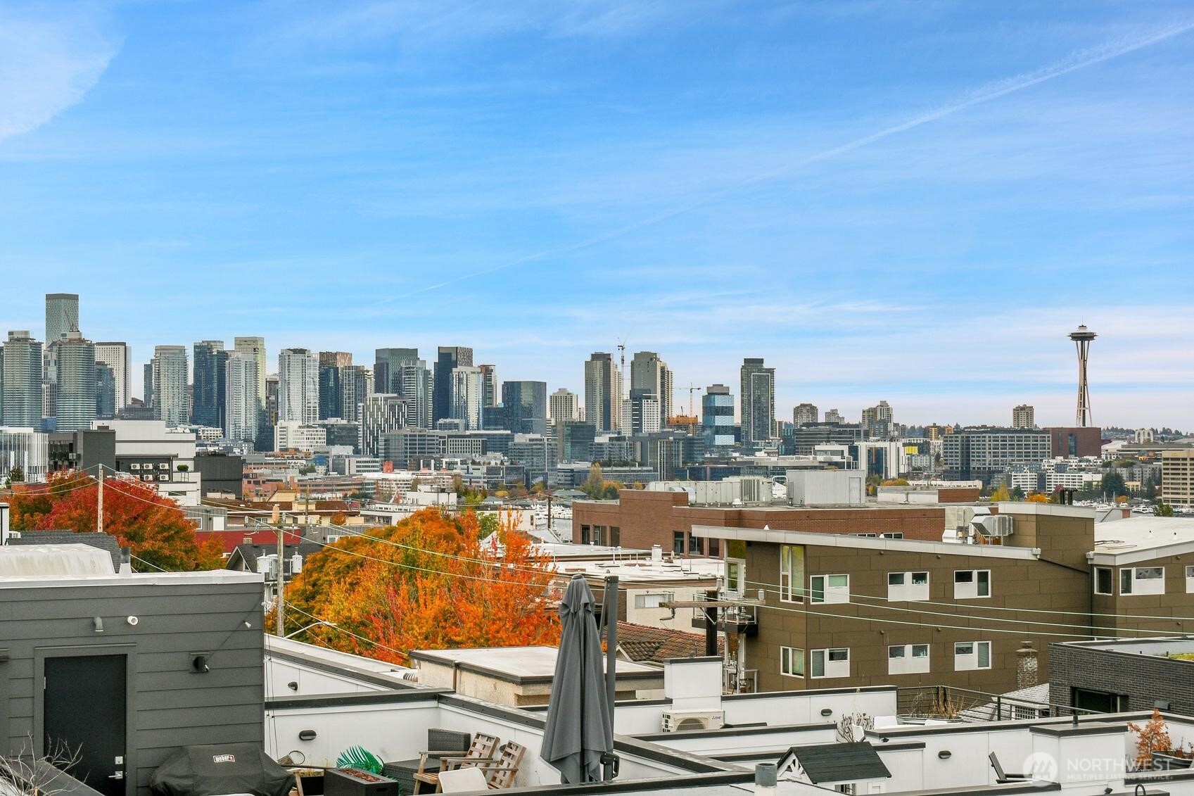 261 East Louisa Street Seattle, WA 98102 - Photo 19 of 24 a city view with tall buildings