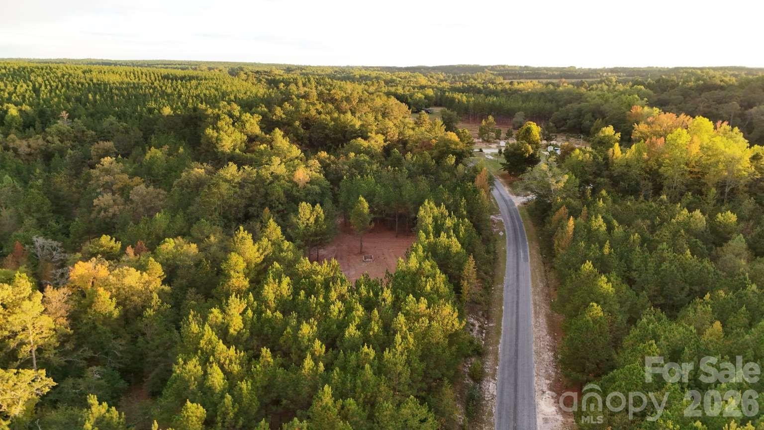 0 Steen Road Mount Croghan, SC 29727 - Photo 11 of 19