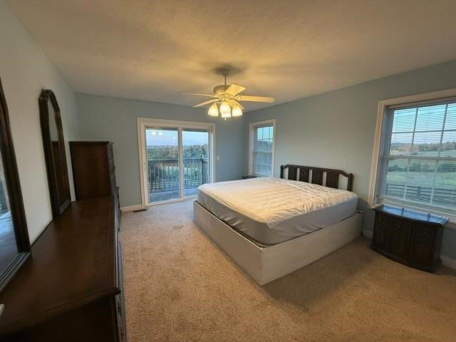 5820 Temple Hill Road Summer Shade, KY 42166 - Photo 10 of 35 Gallery Image 10
