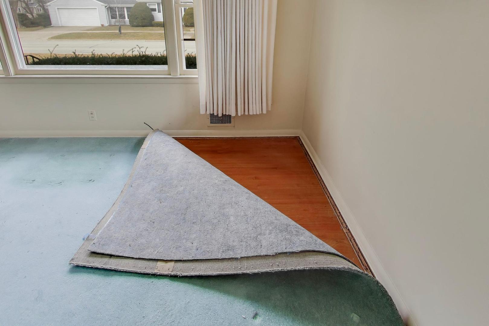 320 North Prospect Manor Avenue Mount Prospect, IL 60056 - Photo 7 of 36