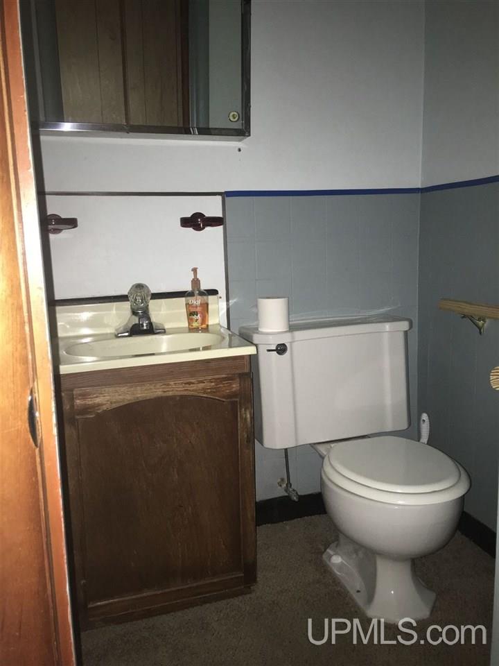 230 Bluff Street Ishpeming, MI 49849 - Photo 22 of 34