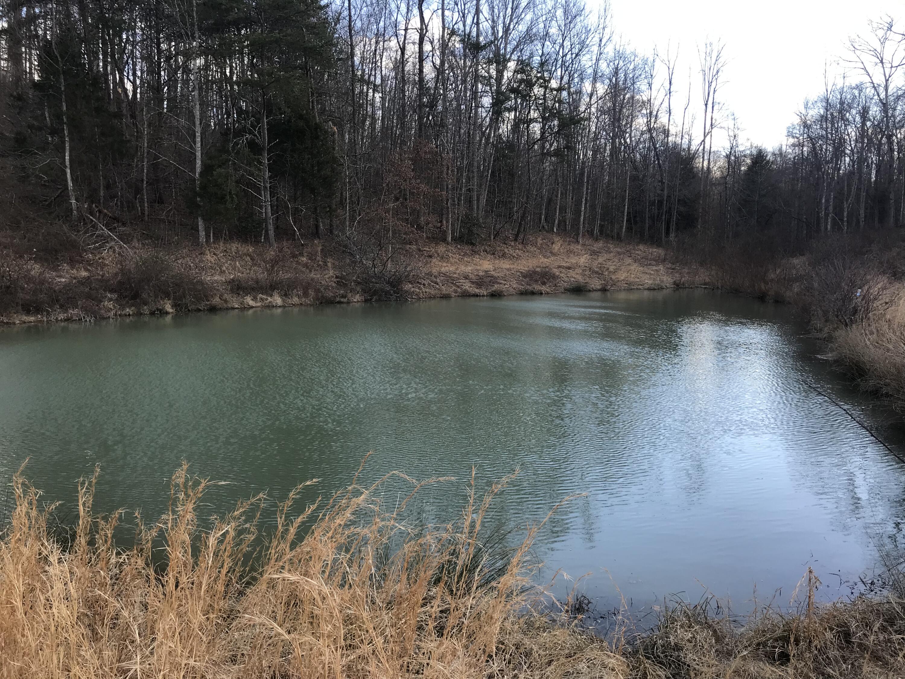 1455 Tidal Wave Road Corbin, KY 40701 - Photo 14 of 27 7A4F5ED5-ED1F-4F76-9579-9C916F5826A4