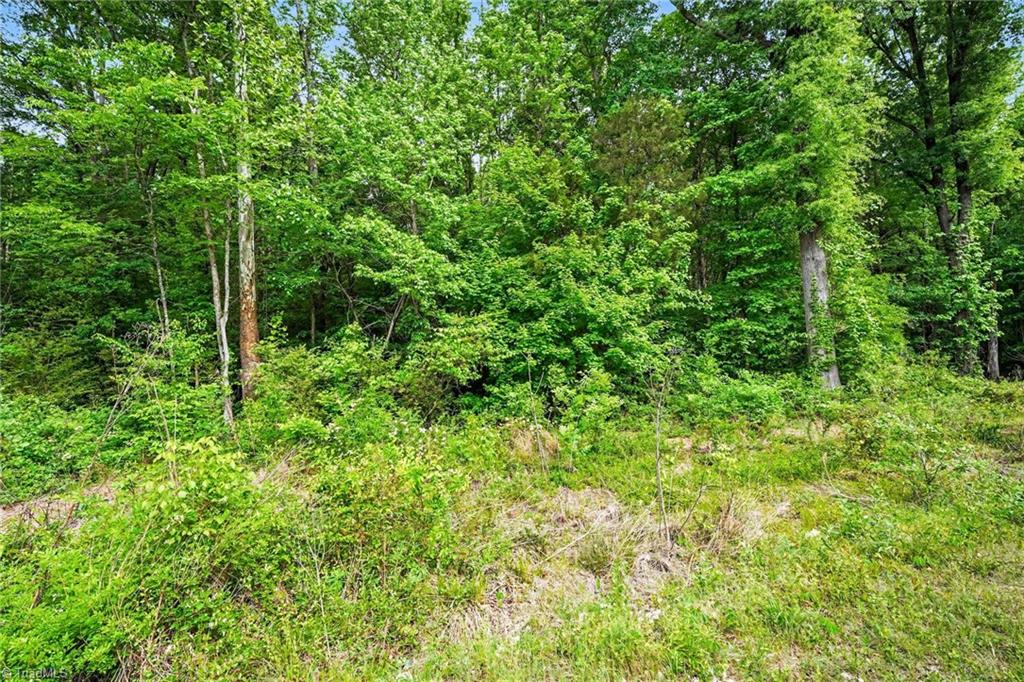 0 Belmont Road Linwood, NC 27299 - Photo 5 of 18