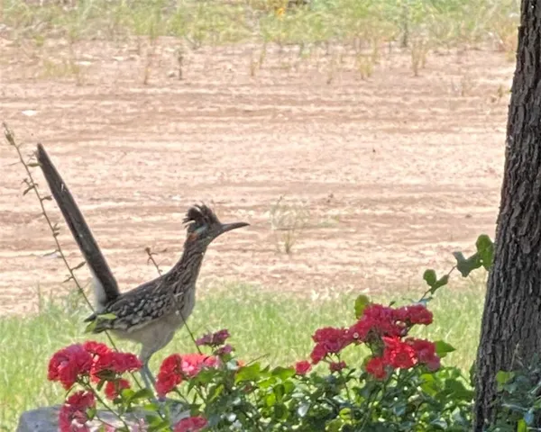 a view of ocean with sunset