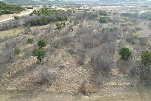 a view of a forest with trees in the background