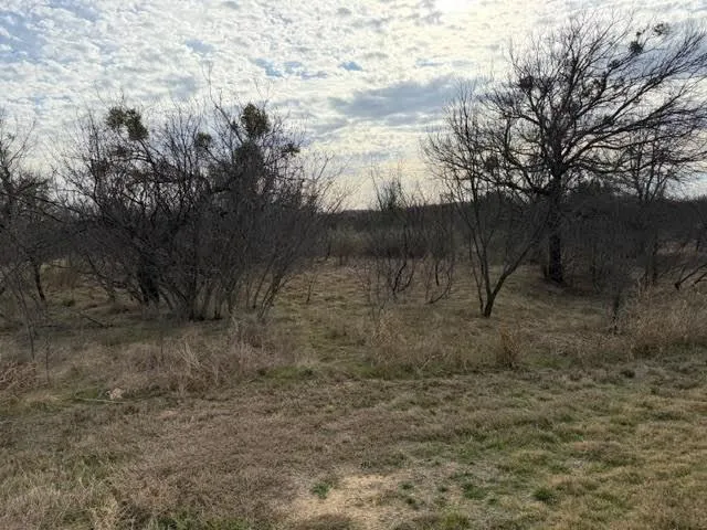 a view of a dry yard with trees