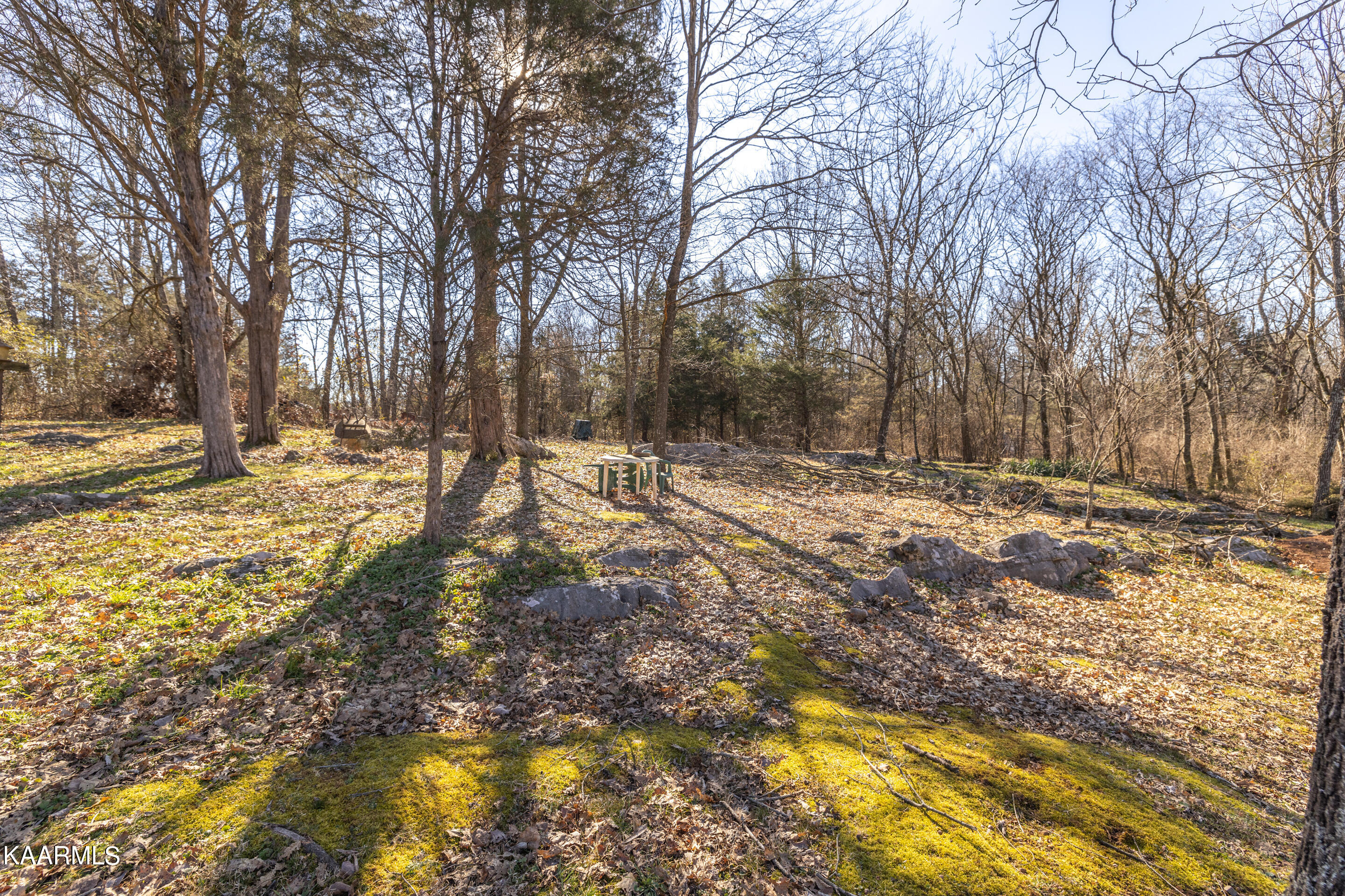 1816 Cook Mill Road New Market, TN 37820 - Photo 54 of 58 1U6A2214