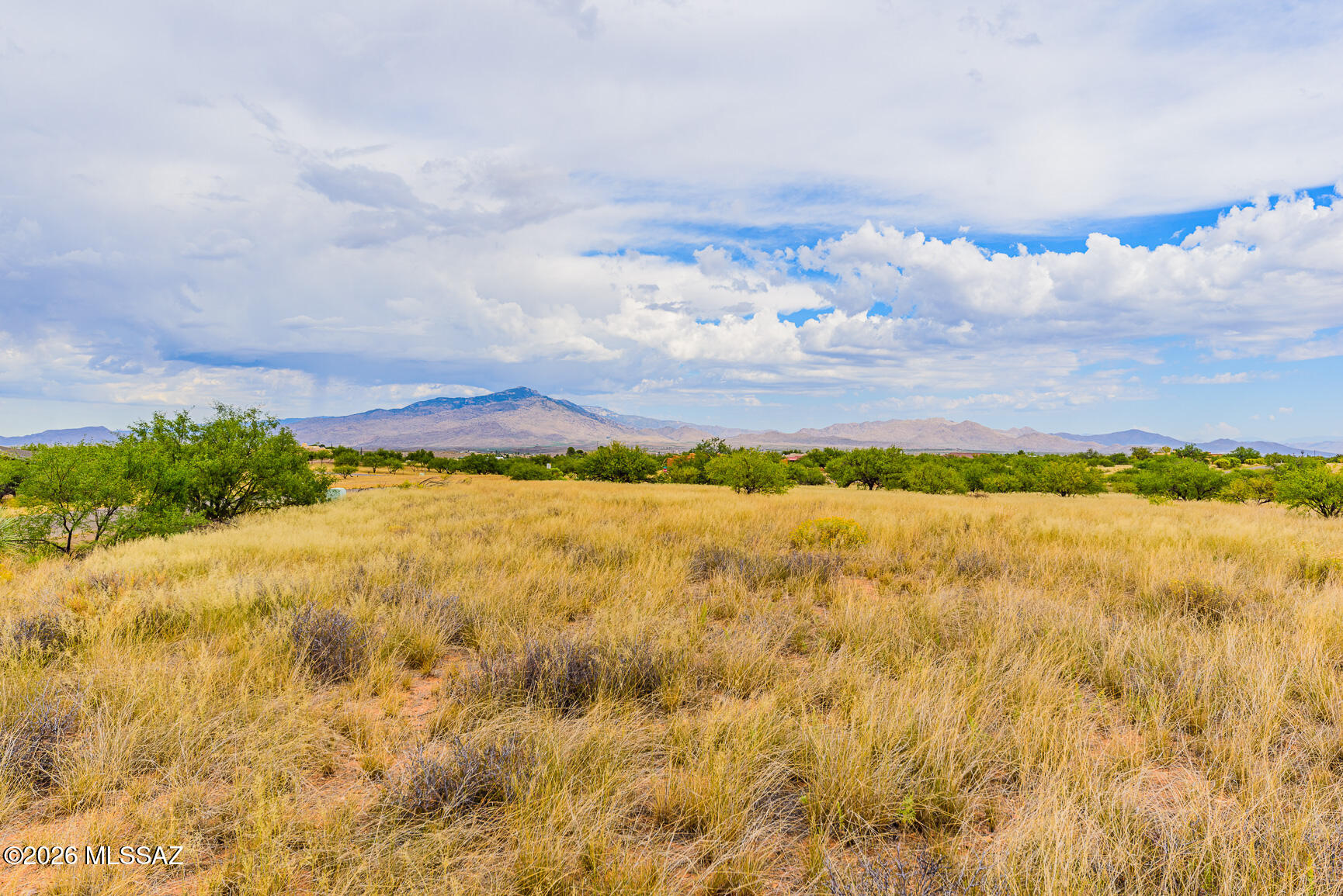 Tbd West Horse Ride Loop, Unit 51 Benson, AZ 85602 - Photo 7 of 12