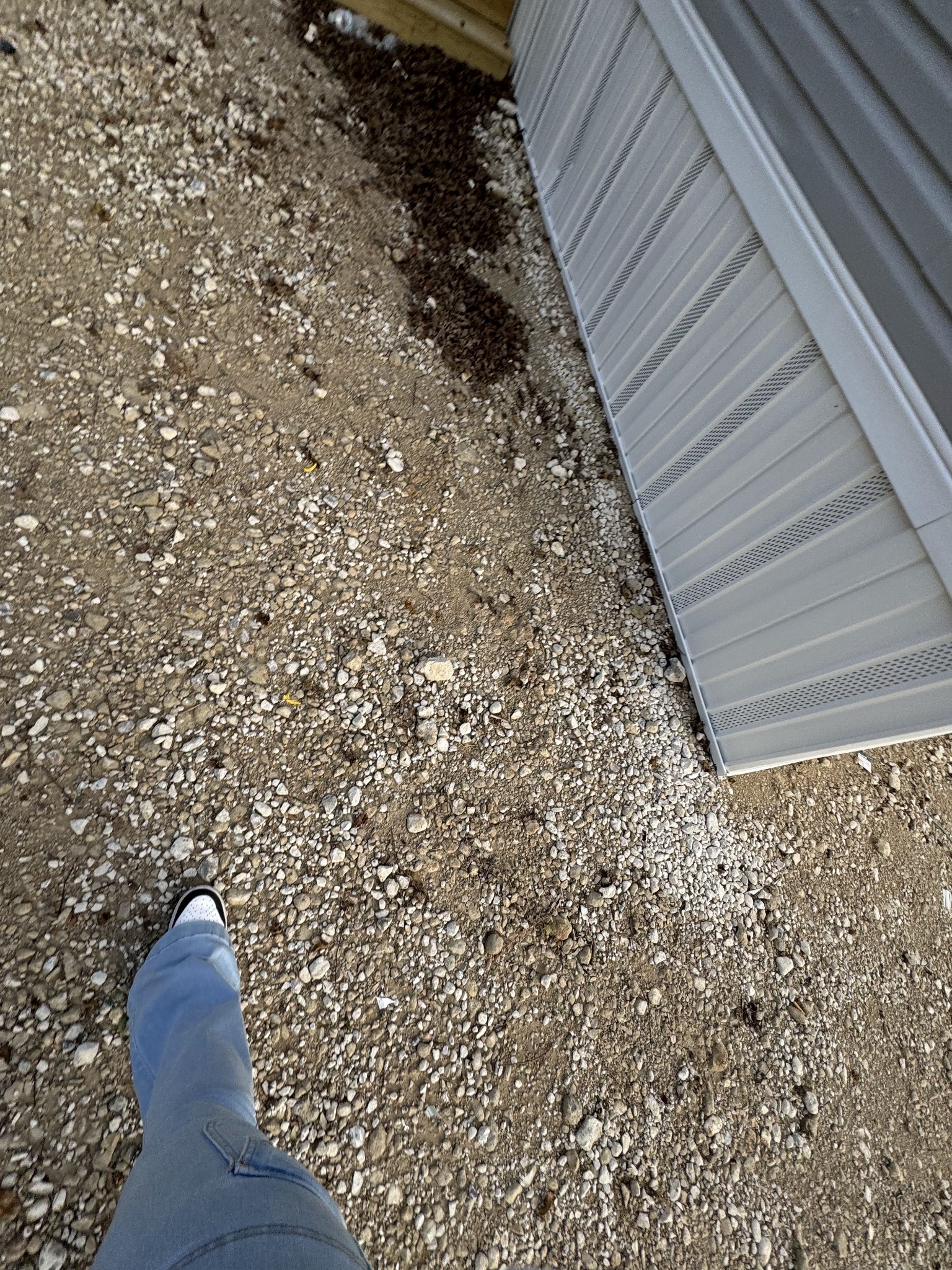 1610 Texas Street Alvin, TX 77511 - Photo 3 of 22 a view of a yard