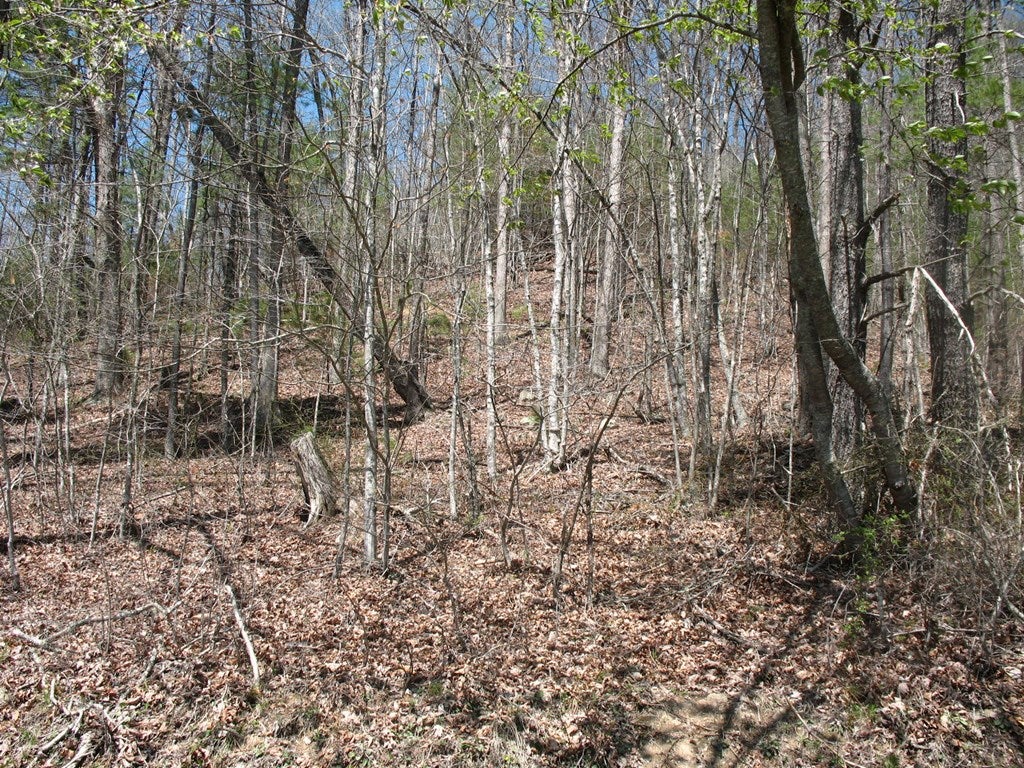 24 Edwards Chapel Road Fries, VA 24330 - Photo 27 of 30 Gallery Image 27