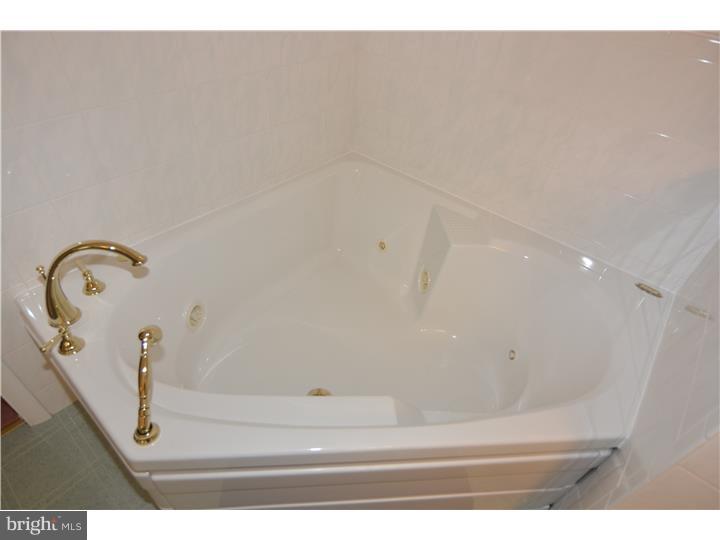313 Governor Drive Reading, PA 19607 - Photo 16 of 19 Master Bathroom