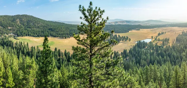 a view of a lake with a mountain in the back
