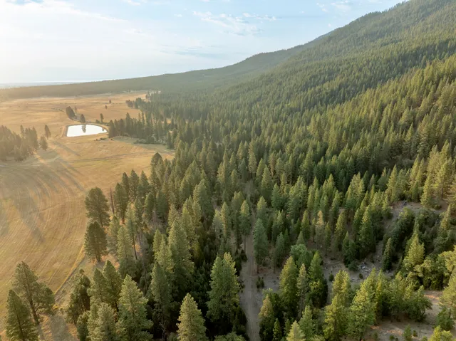 a view of city and mountain