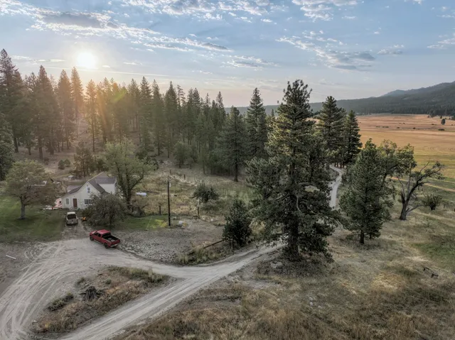 a view of a dry yard with trees