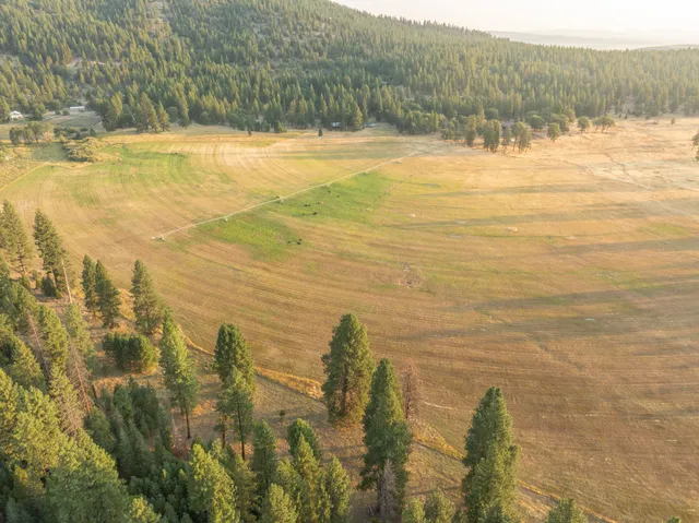 a view of an ocean view