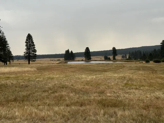 a view of ocean view with beach
