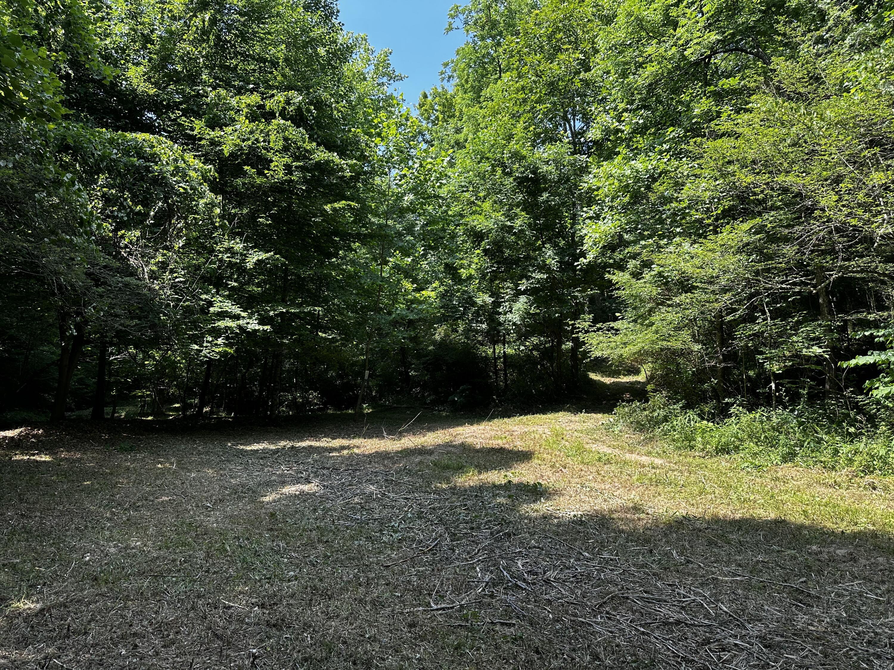 1101 Hull Road, Unit TRACT 9 WOODS WAYNE FOREST) Patriot, OH 45658 - Photo 61 of 61 20240621_152627188_iOS