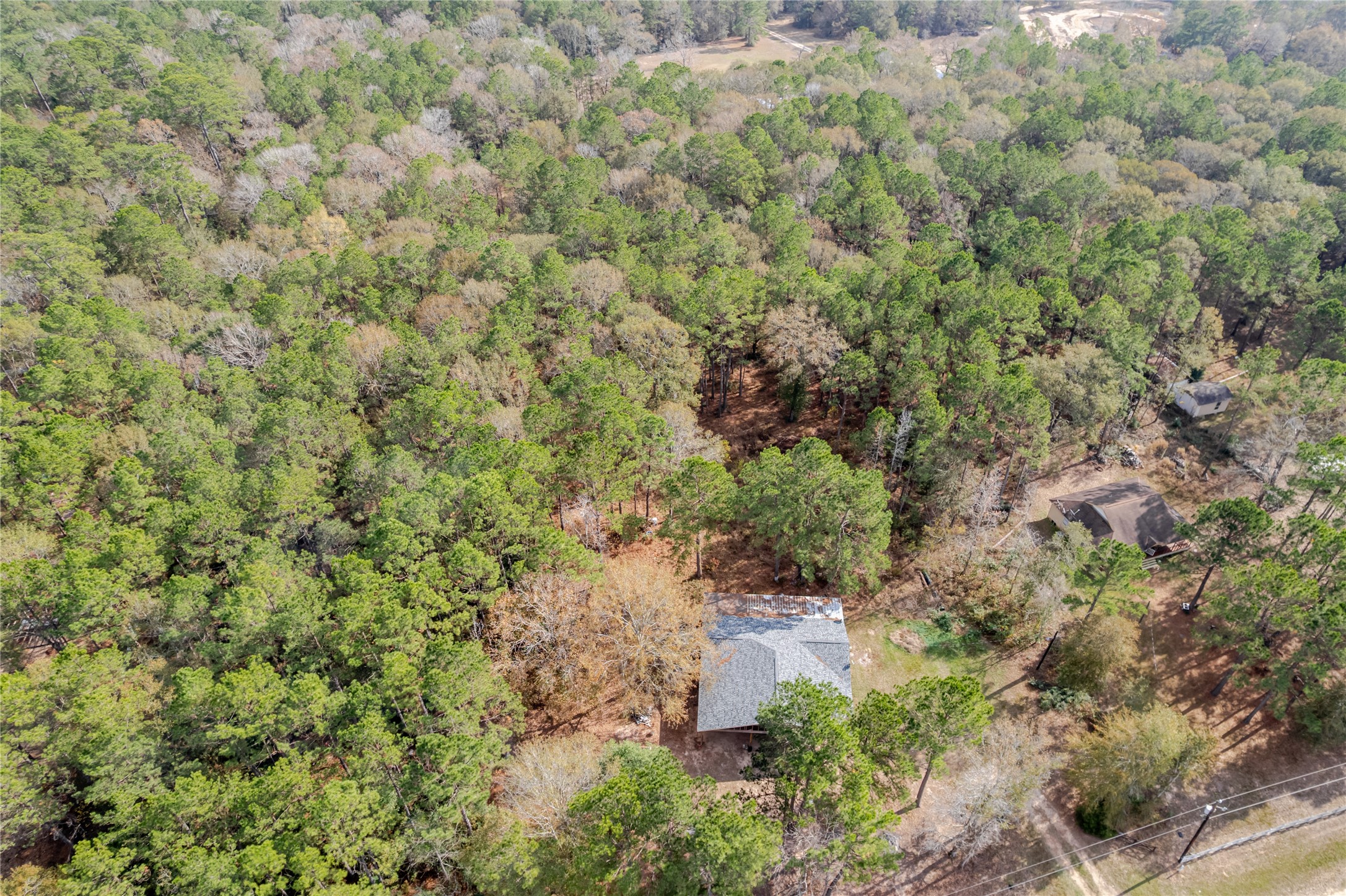 800 Butler Drive Cleveland, TX 77328 - Photo 3 of 11 a view of a forest with a tree