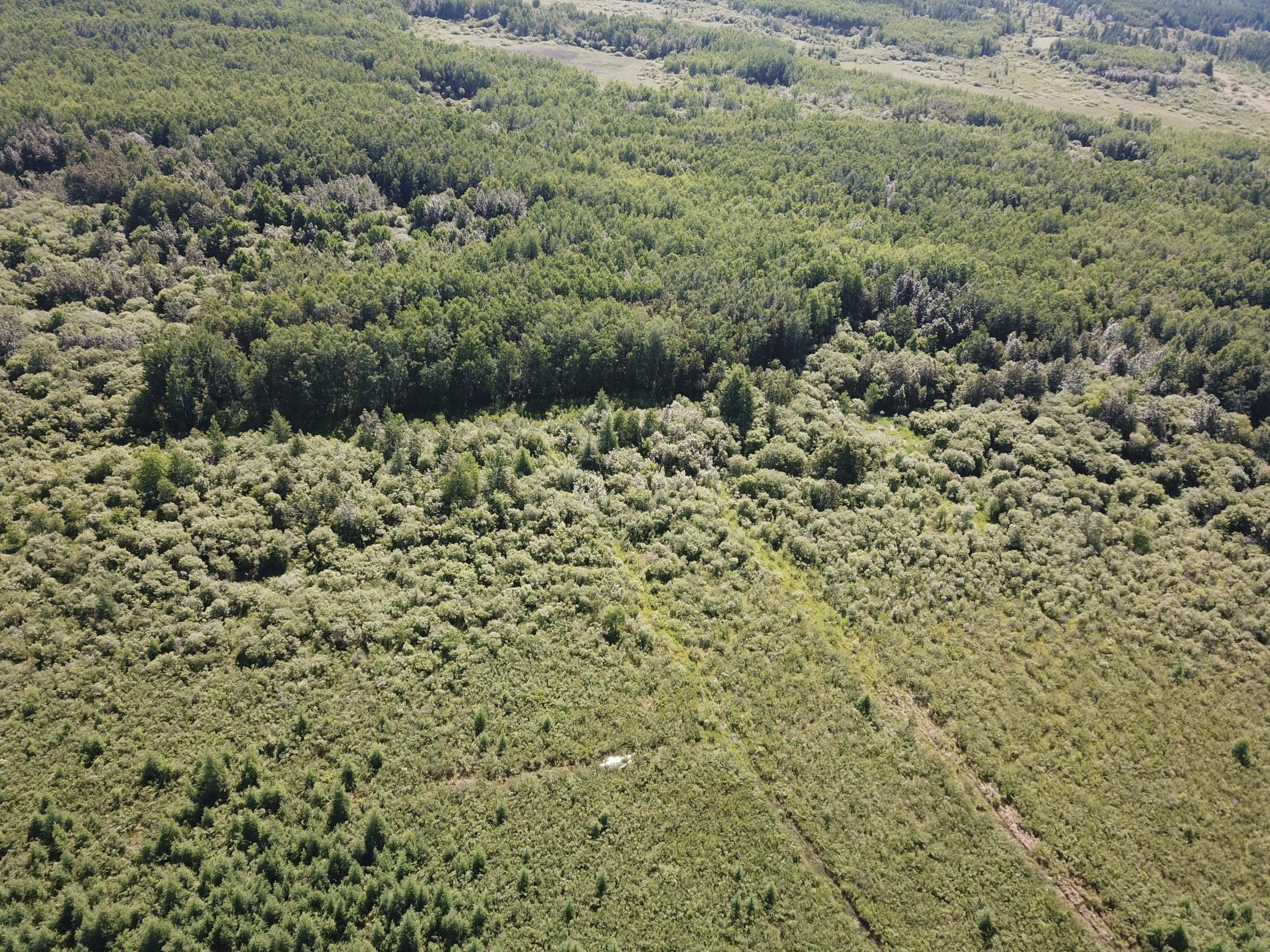 Tbd 440th Avenue Roseau, MN 56751 - Photo 13 of 80