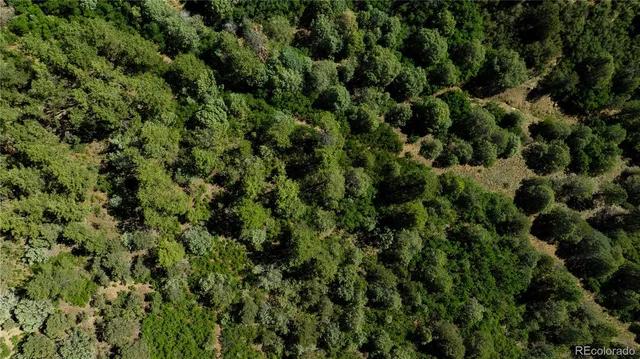 an outdoor view of a house with a lush green forest