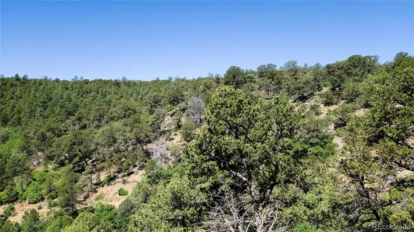 $85,000 | 15536 Ponderosa Loop, Boncarbo, CO 81024