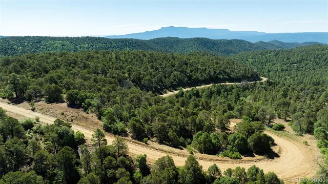 a view of a mountain in the distance in a field