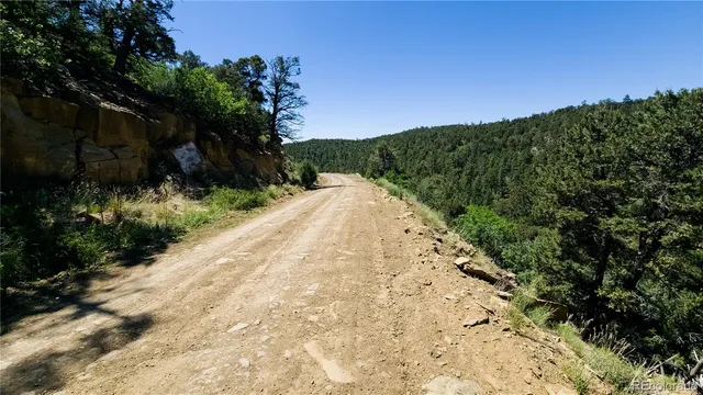 a view of a pathway both side of grassy field with trees