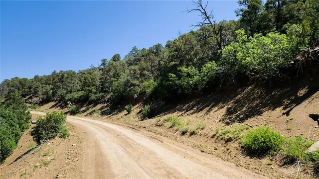 a view of a yard covered in snow