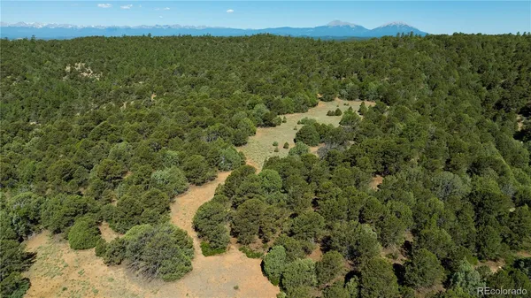$85,000 | 15536 Ponderosa Loop, Boncarbo, CO 81024