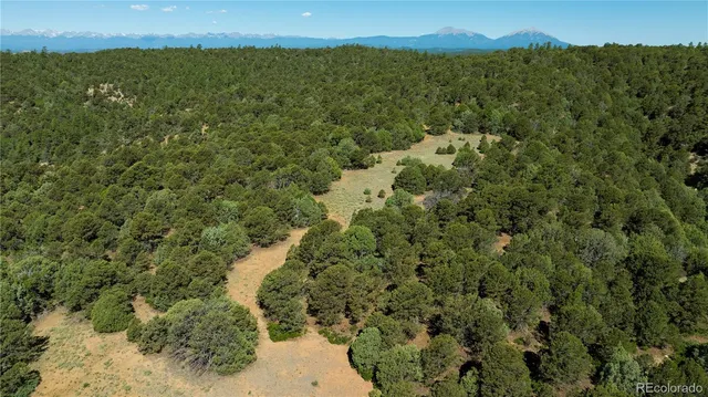 a view of a city with a mountain in the background