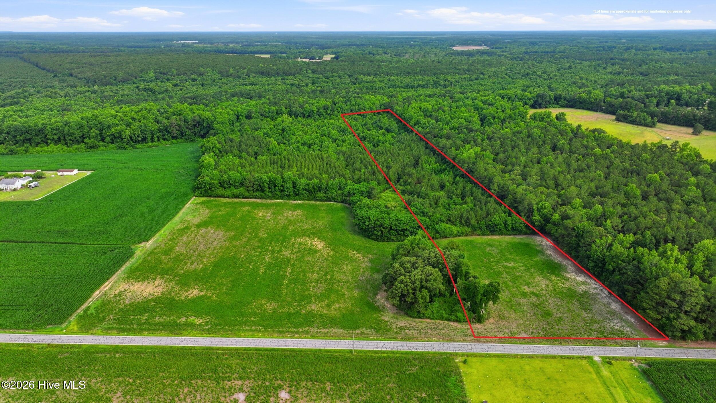 Lot 9 Point Caswell Road Willard, NC 28478 - Photo 4 of 12 Gallery Image 4