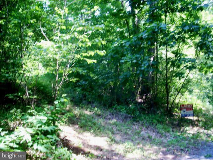 3378 Fiery Run Road Linden, VA 22642 - Photo 1 of 5 Driveway to upper portion of lot