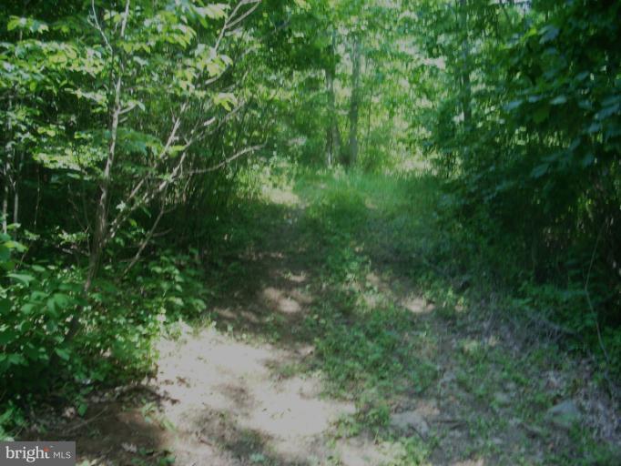 3378 Fiery Run Road Linden, VA 22642 - Photo 3 of 5 Driveway to Old Cabin