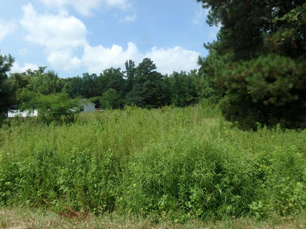 715 Gurganus Road Maple Hill, NC 28454 - Photo 1 of 13 Primary Photo