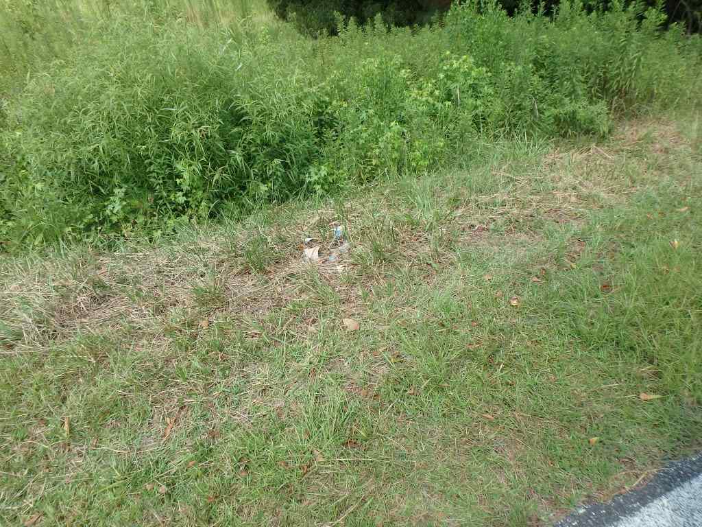 715 Gurganus Road Maple Hill, NC 28454 - Photo 2 of 13 Additional Photo