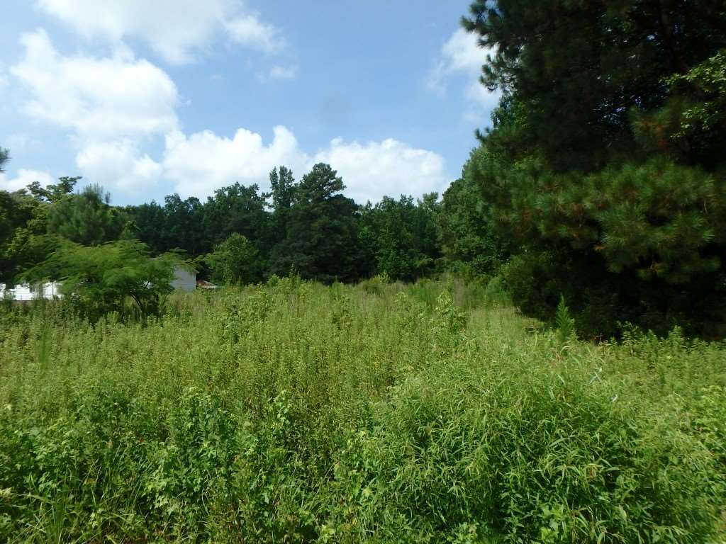 715 Gurganus Road Maple Hill, NC 28454 - Photo 3 of 13 Additional Photo