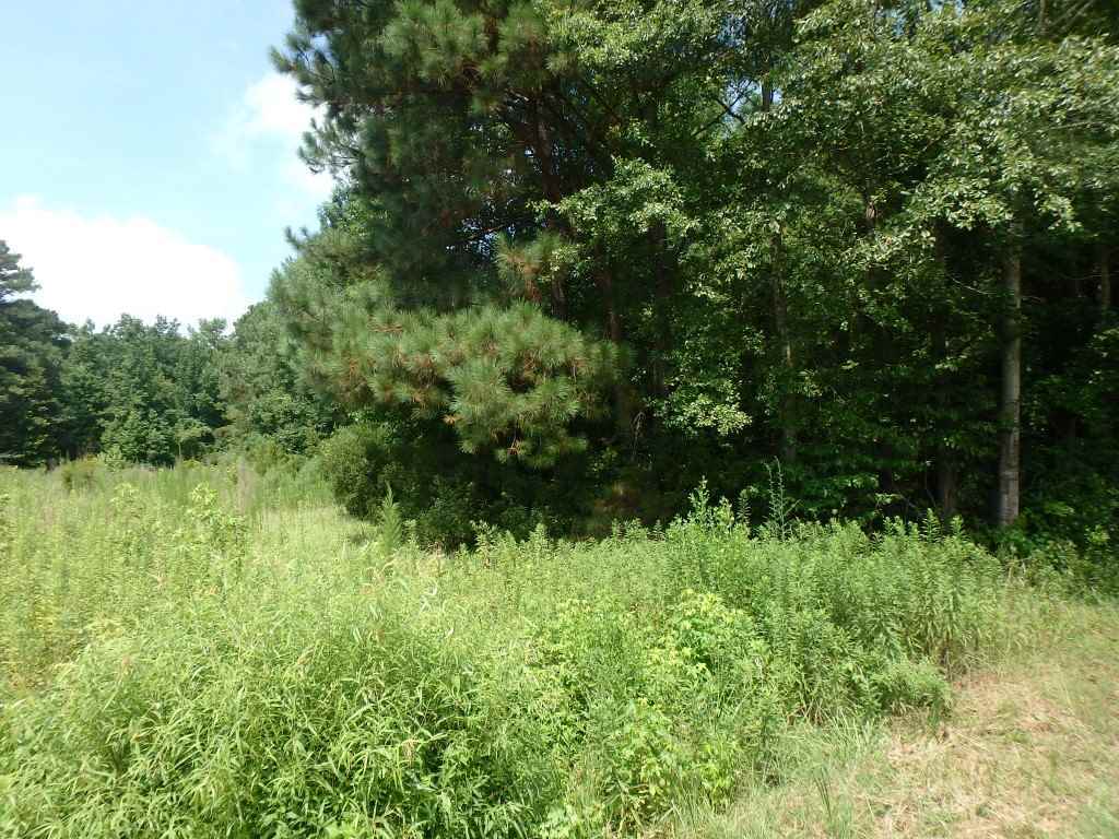 715 Gurganus Road Maple Hill, NC 28454 - Photo 4 of 13 Additional Photo