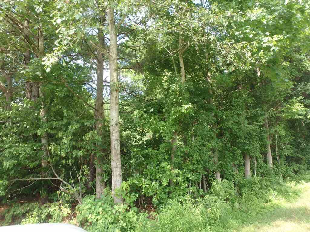 715 Gurganus Road Maple Hill, NC 28454 - Photo 5 of 13 Additional Photo