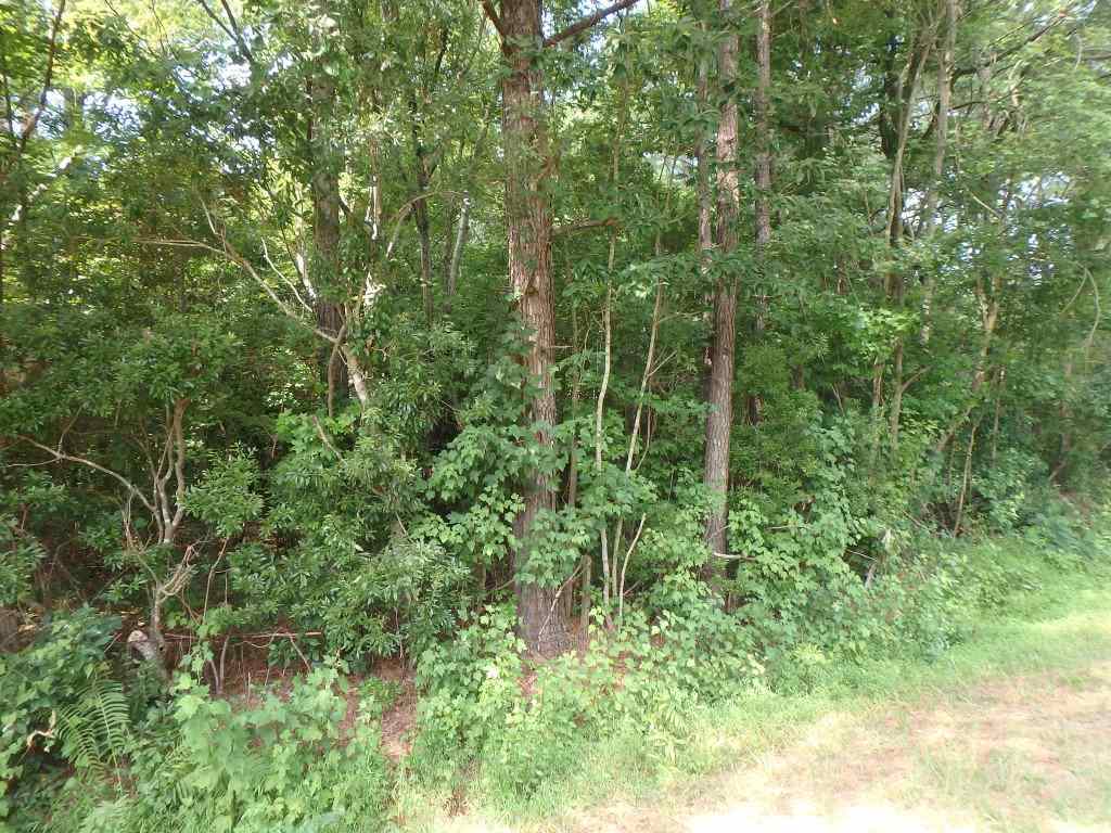 715 Gurganus Road Maple Hill, NC 28454 - Photo 7 of 13 Additional Photo