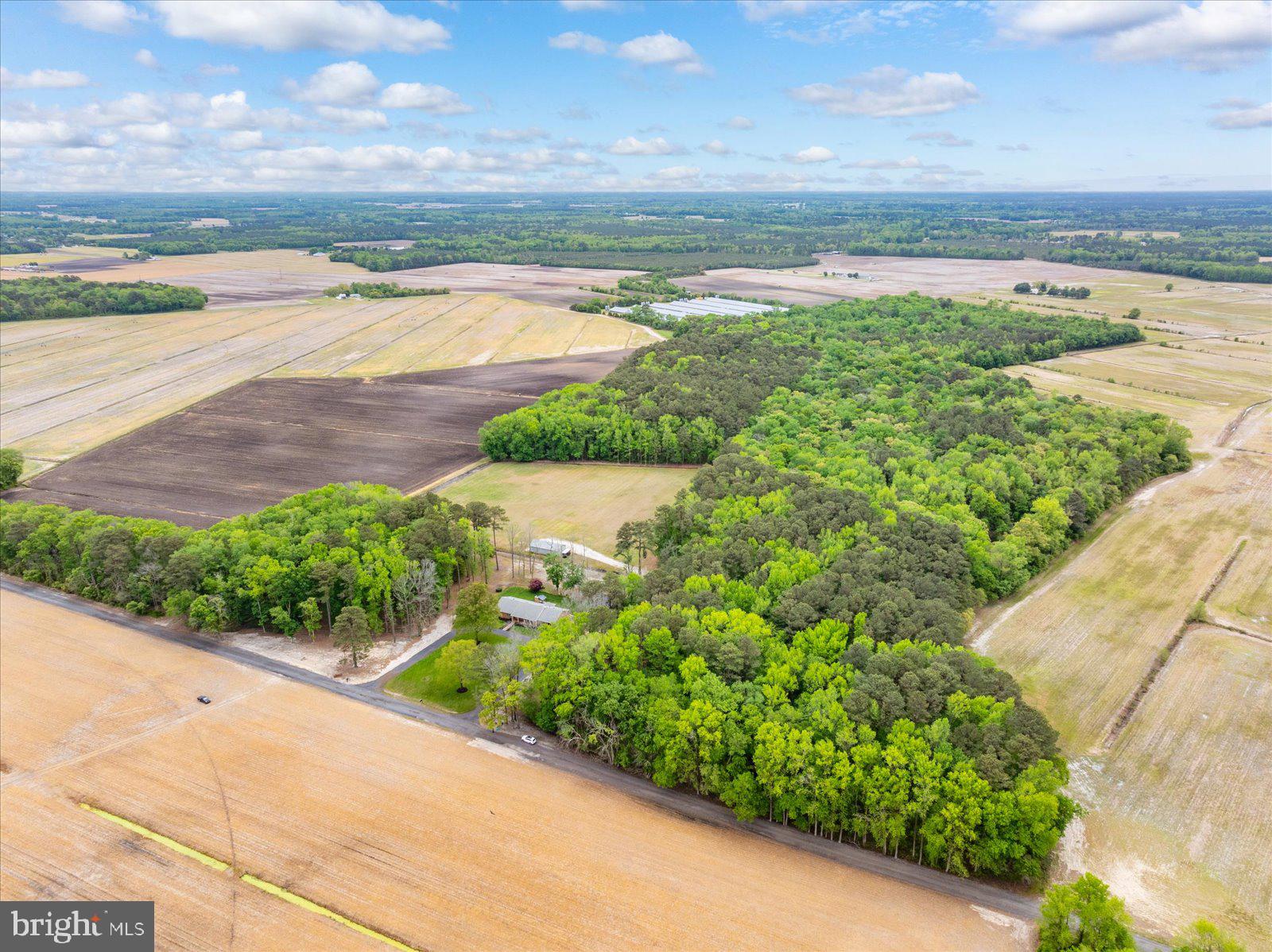 33915 Shockley Road Parsonsburg, MD 21849 - Photo 124 of 125 Expansive fields meet lush woodlands.