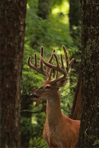 $329,900 | 304 Sunset Court, Jasper, GA 30143