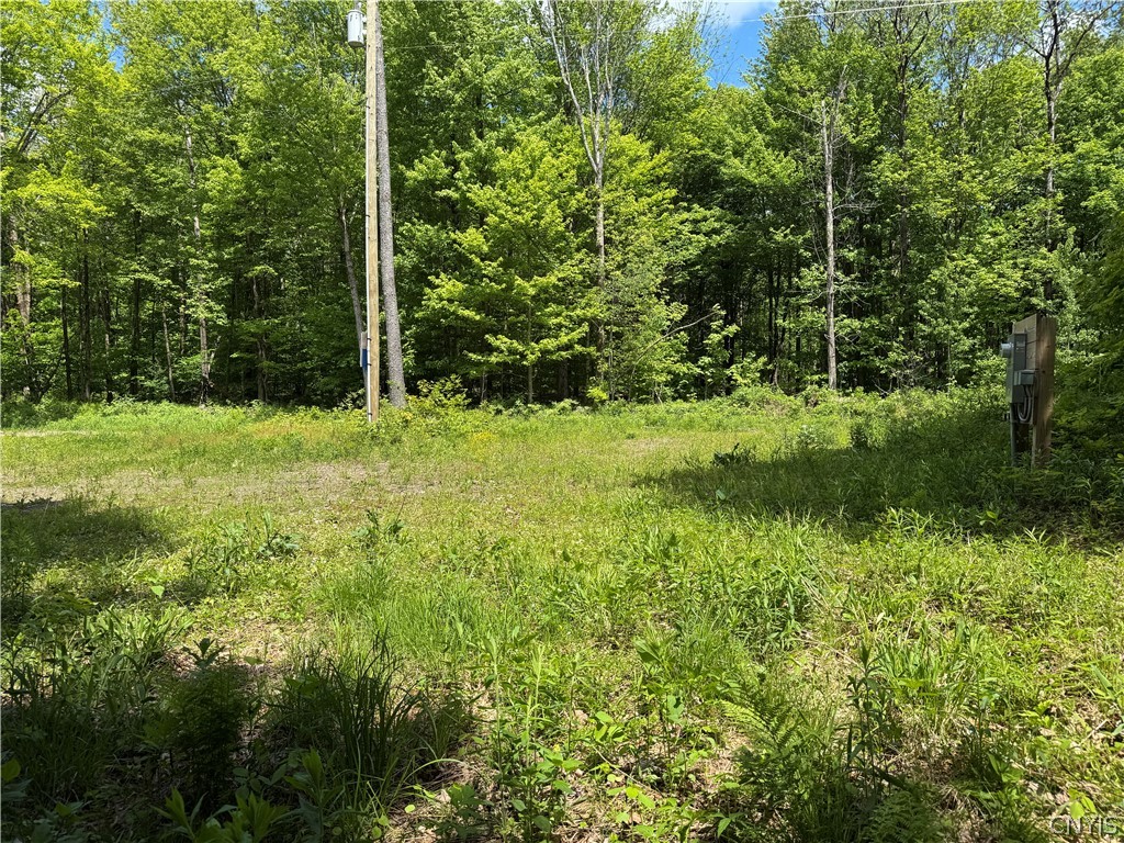 98 Wooliver Road Orwell, NY 13144 - Photo 6 of 11