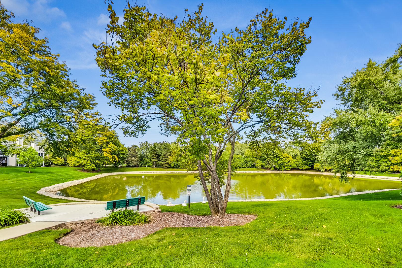816 Butternut Lane, Unit C Mount Prospect, IL 60056 - Photo 29 of 32 a view of a park with large trees