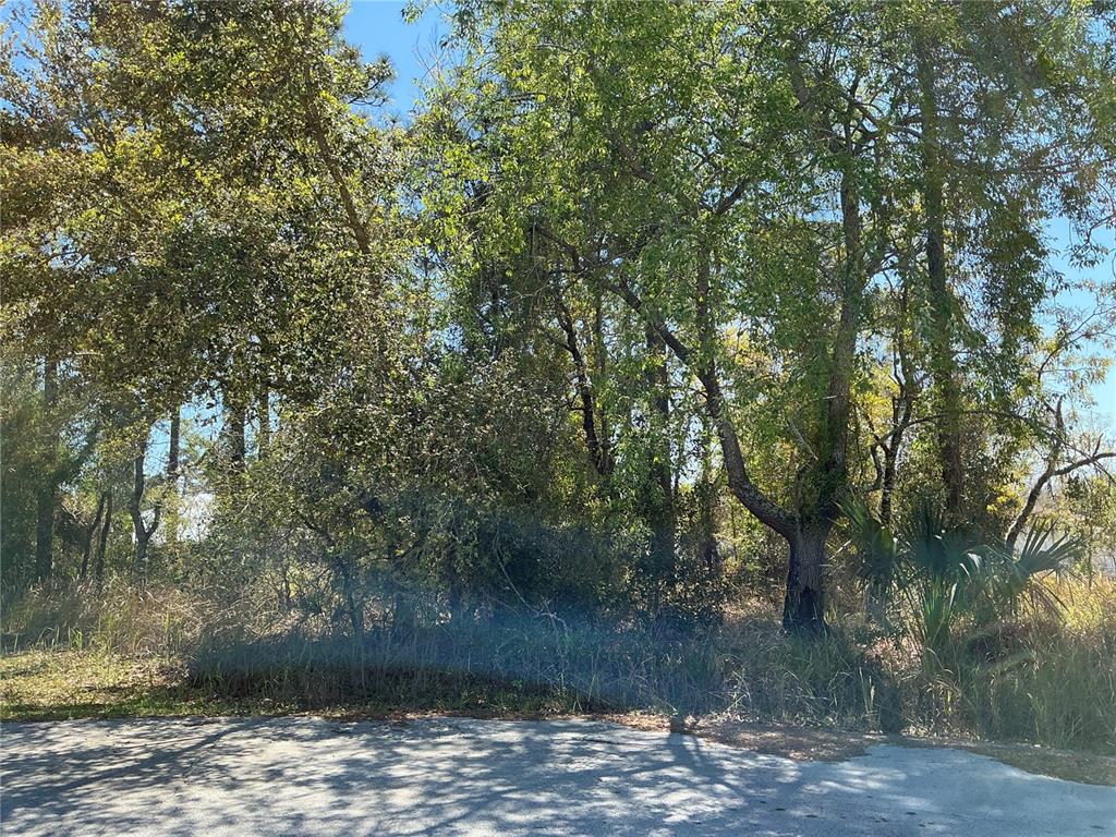 a view of a yard with a tree