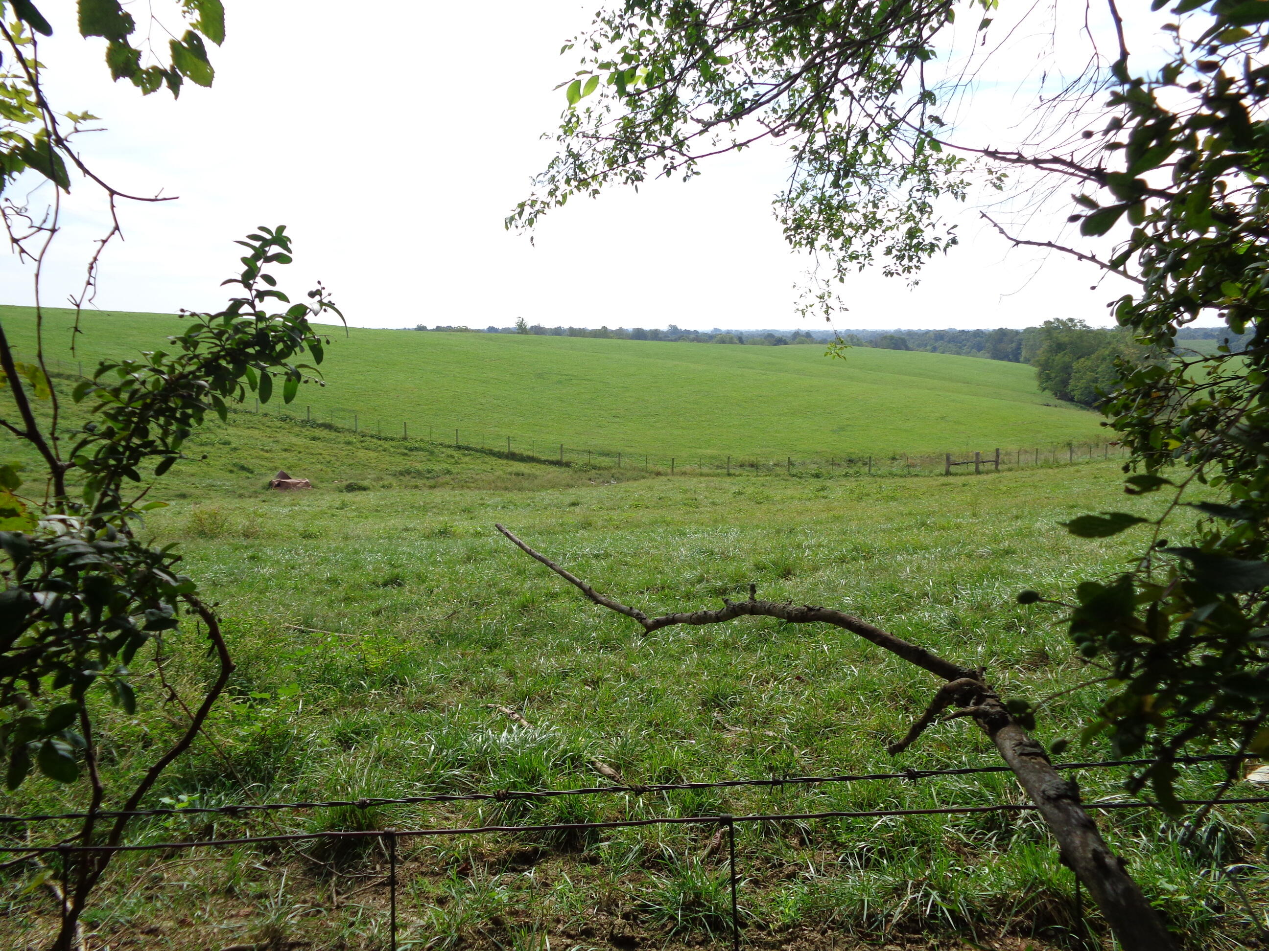 1660 Mt Hebron Road Lancaster, KY 40444 - Photo 20 of 22 DSC00845