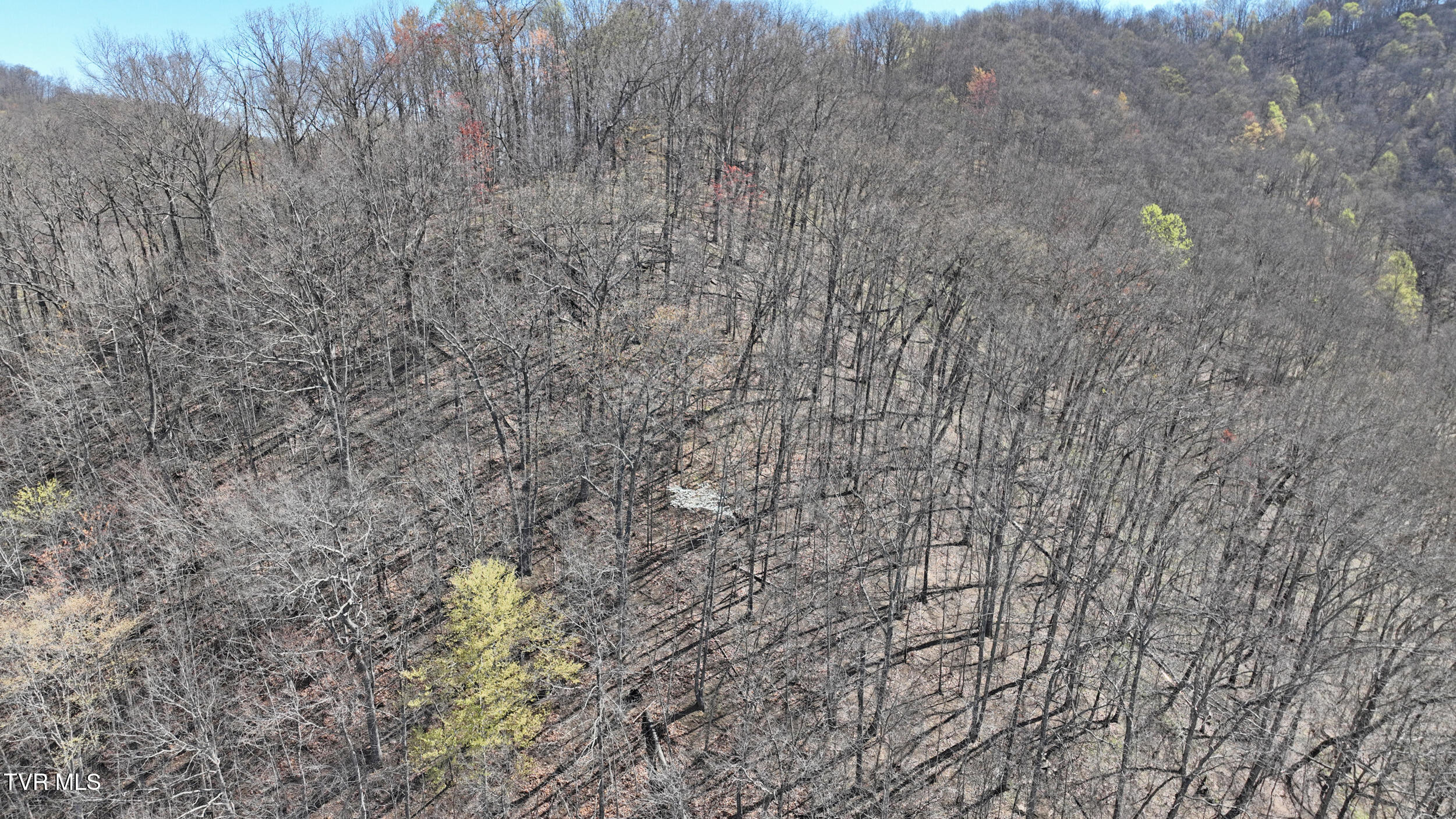 0 Guesses Fork Road Hurley, VA 24620 - Photo 22 of 31 IMG_7468