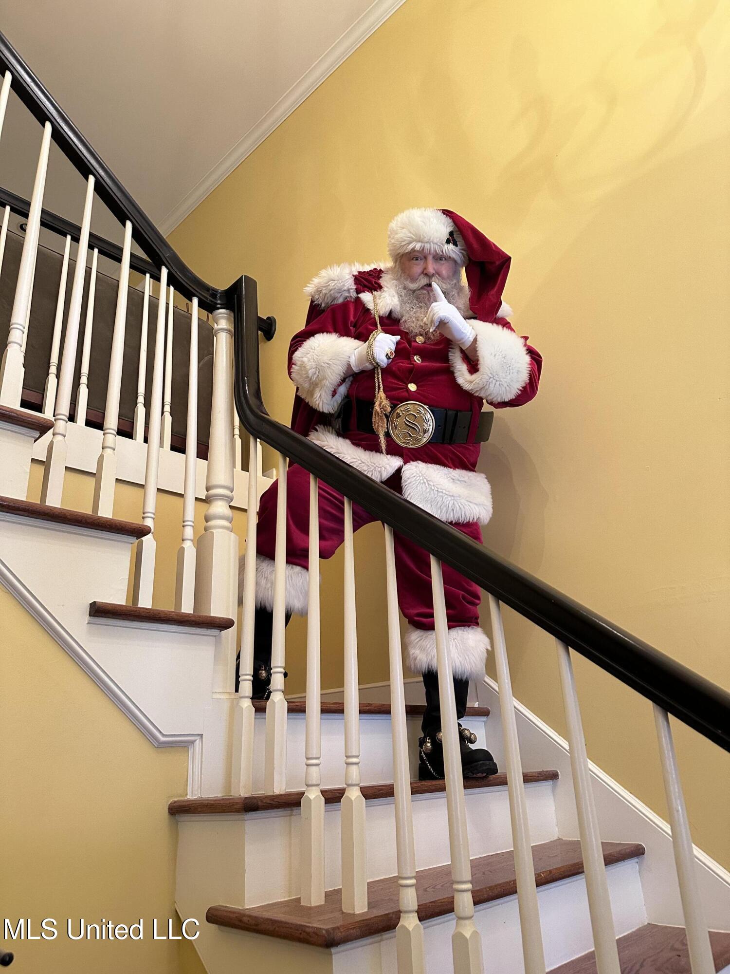 3981 Pleasant Hill Road Olive Branch, MS 38654 - Photo 8 of 45 Guess who!