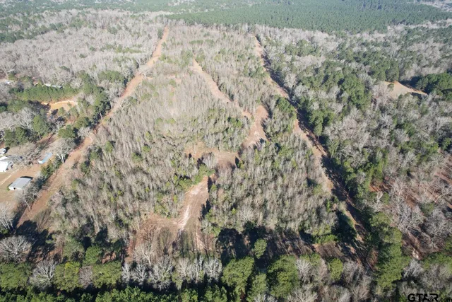 a view of a forest with an outdoor space