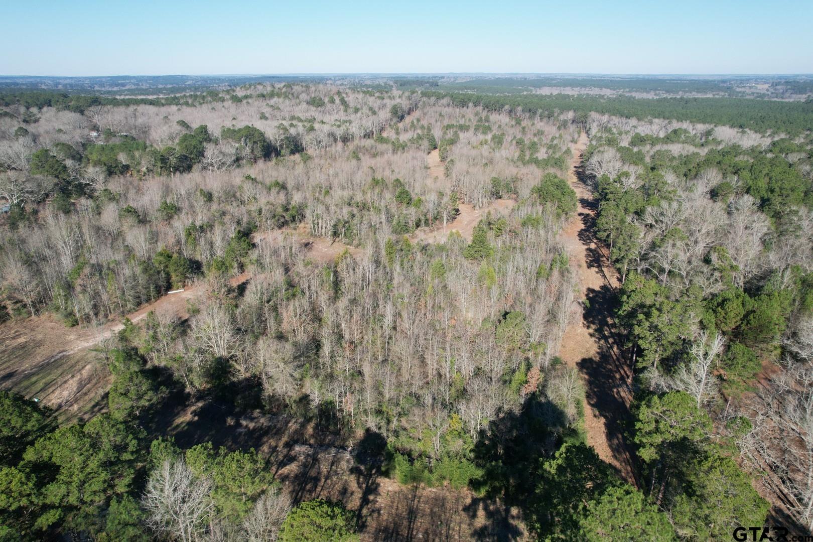 4919 County Road 4919 Timpson, TX 75975 - Photo 2 of 7 a view of a forest with an outdoor space